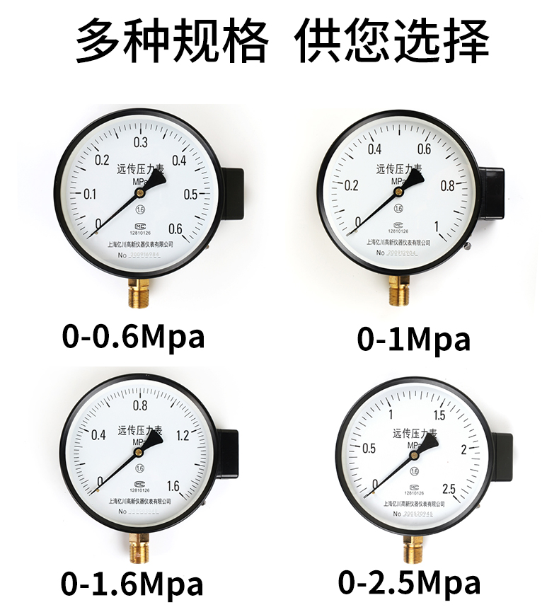 遠傳壓力表規格選型